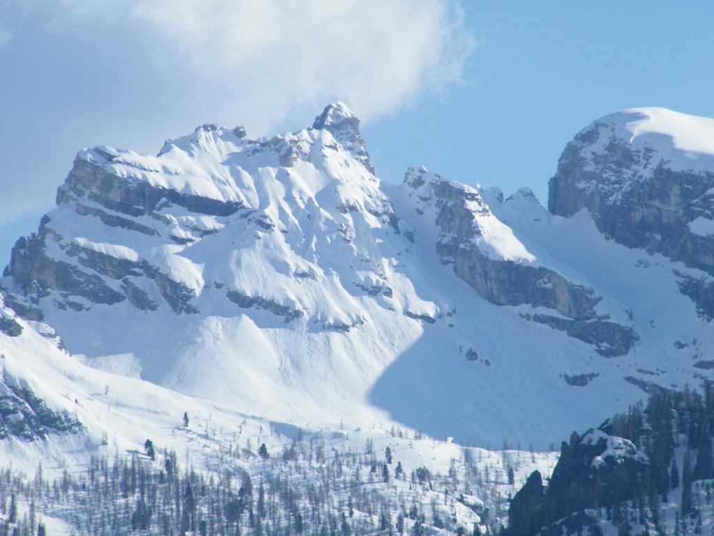 Fattoria Meneguto Agriturismo Degasper Giorgio Cortina dʼAmpezzo Kültér fotó