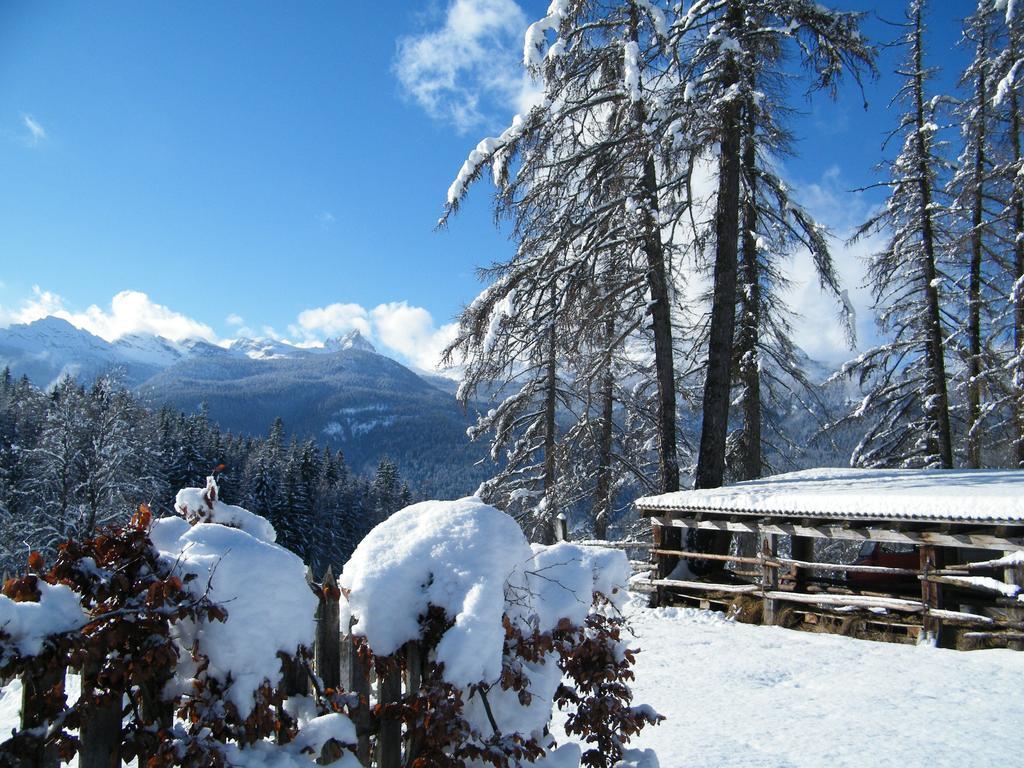 Fattoria Meneguto Agriturismo Degasper Giorgio Cortina dʼAmpezzo Kültér fotó